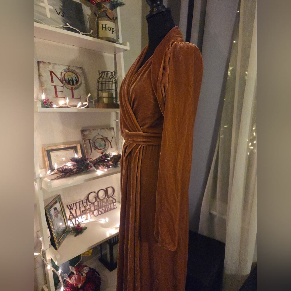 Rick Owens Burnt Pink Velvet Wrap Dress - Picture 3 of 14